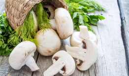 蘑菇视频在线观看吃瓜爆料,吃瓜爆料，娱乐圈幕后真相大曝光！